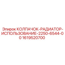 1619520700 КОЛПАЧОК-РАДИАТОР Epiroc