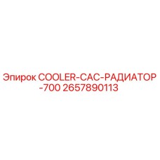 2657890113 COOLER-CAC-РАДИАТОР-700 Epiroc