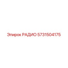 5731504175 РАДИО Epiroc