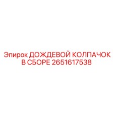 2651617538 ДОЖДЕВОЙ КОЛПАЧОК В СБОРЕ Epiroc