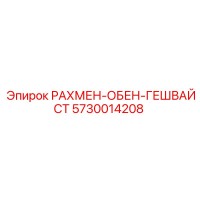 5730014208 РАХМЕН-ОБЕН-ГЕШВАЙСТ Epiroc