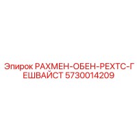 5730014209 РАХМЕН-ОБЕН-РЕХТС-ГЕШВАЙСТ Epiroc