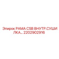 2202902916 РАМА CSB ВНУТРЕННЯЯ СУШИЛКА Epiroc
