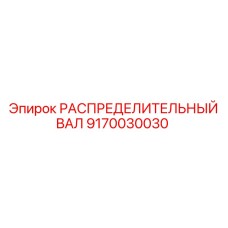 9170030030 РАСПРЕДЕЛИТЕЛЬНЫЙ ВАЛ Epiroc