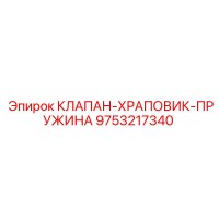 9753217340 КЛАПАН-ХРАПОВИК-ПРУЖИНА Epiroc