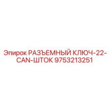 9753213251 РАЗЪЕМНЫЙ КЛЮЧ-22-CAN-ШТОК Epiroc