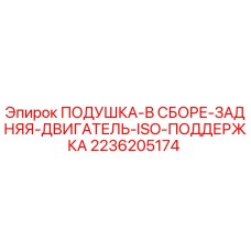 2236205174 ПОДУШКА-В СБОРЕ-ЗАДНЯЯ-ДВИГАТЕЛЬ-ISO-ПОДДЕРЖКА Epiroc