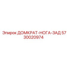 5730020974 ДОМКРАТ-НОГА-ЗАД Epiroc