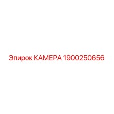 1900250656 КАМЕРА Epiroc