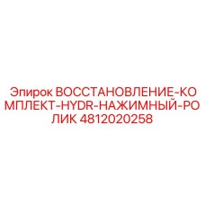 4812020258 ВОССТАНОВЛЕНИЕ-КОМПЛЕКТ-HYDR-НАЖИМНЫЙ-РОЛИК Epiroc