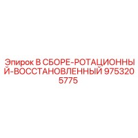 9753205775 В СБОРЕ-РОТАЦИОННЫЙ-ВОССТАНОВЛЕННЫЙ Epiroc