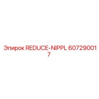 607290017 REDUCE-NIPPL Epiroc