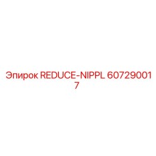 607290017 REDUCE-NIPPL Epiroc