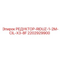 2202929900 РЕДУКТОР-RIDUZ-1-2M-CIL-X3-8F Epiroc