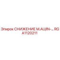 RGA1120211 СНИЖЕНИЕ M.AU/IN-… Epiroc