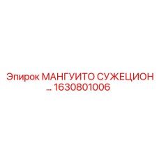 1630801006 МАНГУИТО СУЖЕЦИОН Epiroc