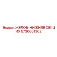 5730001362 ЖЕЛОБ-НИЖНЯЯ СЕКЦИЯ Epiroc