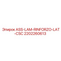 2202260613 ASS-LAM-RINFORZO-LAT-CSC Epiroc