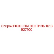 1613927100 РЮКШЛАГВЕНТИЛЬ Epiroc