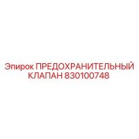 830100748 ПРЕДОХРАНИТЕЛЬНЫЙ КЛАПАН Epiroc