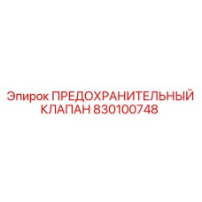 830100748 ПРЕДОХРАНИТЕЛЬНЫЙ КЛАПАН Epiroc