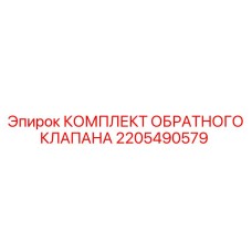 2205490579 КОМПЛЕКТ ОБРАТНОГО КЛАПАНА Epiroc