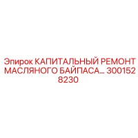 3001528230 КАПИТАЛЬНЫЙ РЕМОНТ МАСЛЯНОГО БАЙПАСА Epiroc