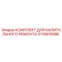 3115915596 КОМПЛЕКТ ДЛЯ КАПИТАЛЬНОГО РЕМОНТА by Epiroc