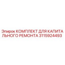 3115924493 КОМПЛЕКТ ДЛЯ КАПИТАЛЬНОГО РЕМОНТА Epiroc