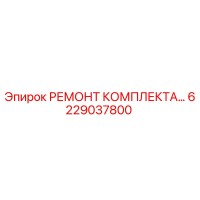 6229037800 РЕМОНТ КОМПЛЕКТА… - Epiroc