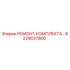 6229037800 РЕМОНТ КОМПЛЕКТА… - Epiroc