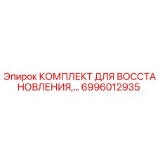 6996012935 КОМПЛЕКТ ДЛЯ ВОССТАНОВЛЕНИЯ Epiroc