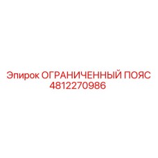 4812270986 ОГРАНИЧЕННЫЙ ПОЯС Epiroc