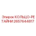 2657644817 КОЛЬЦО-РЕТАЙНИ Epiroc