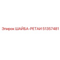 51357481 ШАЙБА-РЕТАИ Epiroc