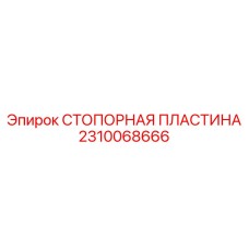 2310068666 СТОПОРНАЯ ПЛАСТИНА Epiroc