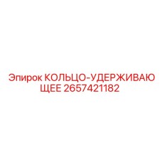2657421182 КОЛЬЦО-УДЕРЖИВАЮЩЕЕ Epiroc