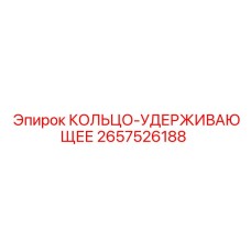 2657526188 КОЛЬЦО-УДЕРЖИВАЮЩЕЕ Epiroc