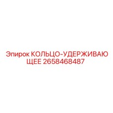 2658468487 КОЛЬЦО-УДЕРЖИВАЮЩЕЕ Epiroc