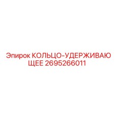 2695266011 Кольцо-удерживающее Epiroc