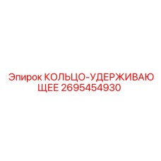2695454930 КОЛЬЦО-УДЕРЖИВАЮЩЕЕ Эпирок