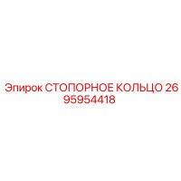 2695954418 Retaining Ring Epiroc