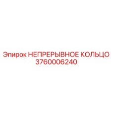3760006240 НЕПРЕРЫВНОЕ КОЛЬЦО Epiroc