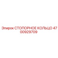 4700929709 СТОПОРНОЕ КОЛЬЦО Epiroc