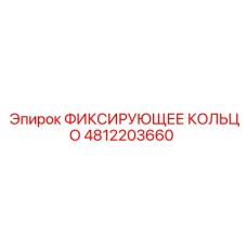 4812203660 ФИКСИРУЮЩЕЕ КОЛЬЦО Epiroc