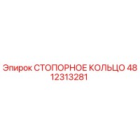 4812313281 СТОПОРНОЕ КОЛЬЦО Epiroc