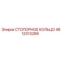 4812313289 СТОПОРНОЕ КОЛЬЦО Epiroc