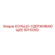 50110352 КОЛЬЦО-УДЕРЖИВАЮЩЕЕ Epiroc