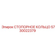 5730022379 СТОПОРНОЕ КОЛЬЦО Epiroc