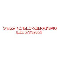 57932659 КОЛЬЦО-УДЕРЖИВАЮЩЕЕ Epiroc